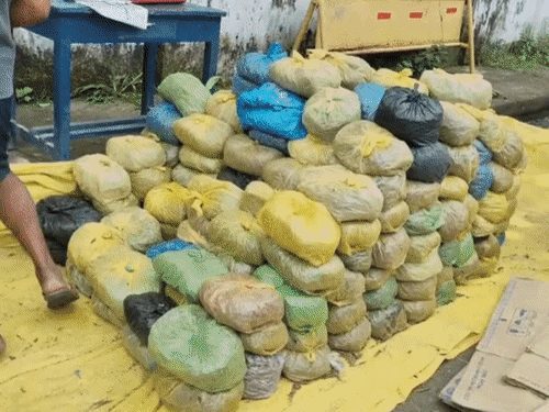 एमसीबी में 9 क्विंटल 19 किलो गांजा जब्त, 4 करोड़ 59 लाख कीमत, दो महिलाओं समेत 6 गिरफ्तार