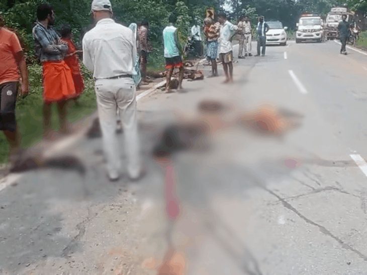 जशपुर के समडमा में तेज रफ्तार ट्रक ने 15 बकरियों को कुचला, एलपीजी ट्रक और केमिकल टैंकर से भी टकराया, चालक फरार