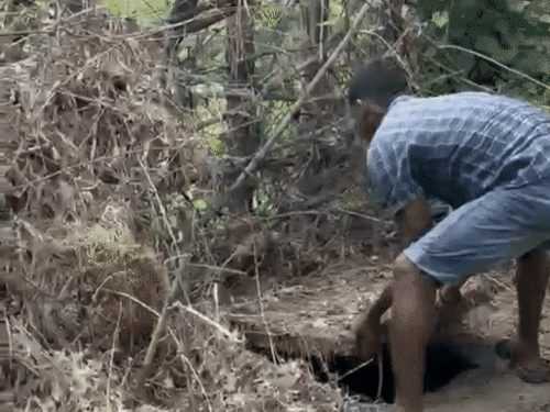 कोरबा में लिव-इन पार्टनर ने की गर्लफ्रेंड की हत्या, शव सेप्टिक टैंक में छिपाया; अंबिकापुर से गिरफ्तार