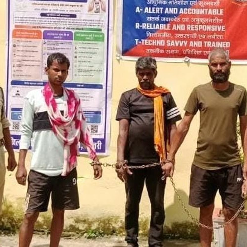 धमतरी में गौ-तस्करी पर कार्रवाई, मेचका पुलिस ने 32 मवेशी मुक्त कराए, 3 आरोपी गिरफ्तार