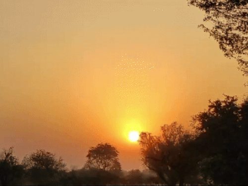 छत्तीसगढ़ में थमा बारिश का दौर, अगले 2-3 दिनों में मानसून की विदाई के आसार