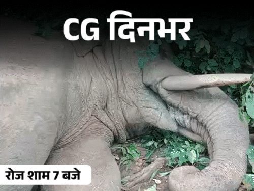 छत्तीसगढ़ दिनभर, 10 बड़ी खबरें:3 हाथियों की मौत, दिव्यांग की 16000km साइकिल राइड, नवजात को खेत में फेंका, साधु बनकर 15 तोला सोना ठगा
